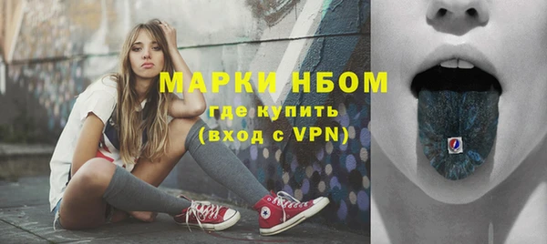 шишки Алзамай