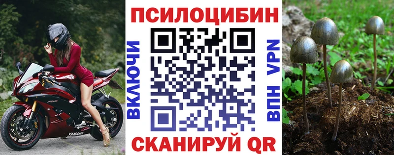 цены   Вилючинск  Галлюциногенные грибы мухоморы 