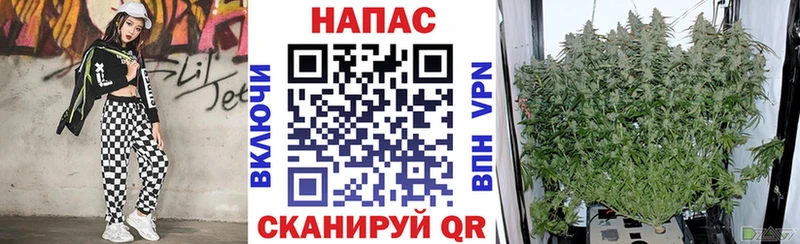 Бошки Шишки Bruce Banner как найти закладки OMG как зайти Вилючинск